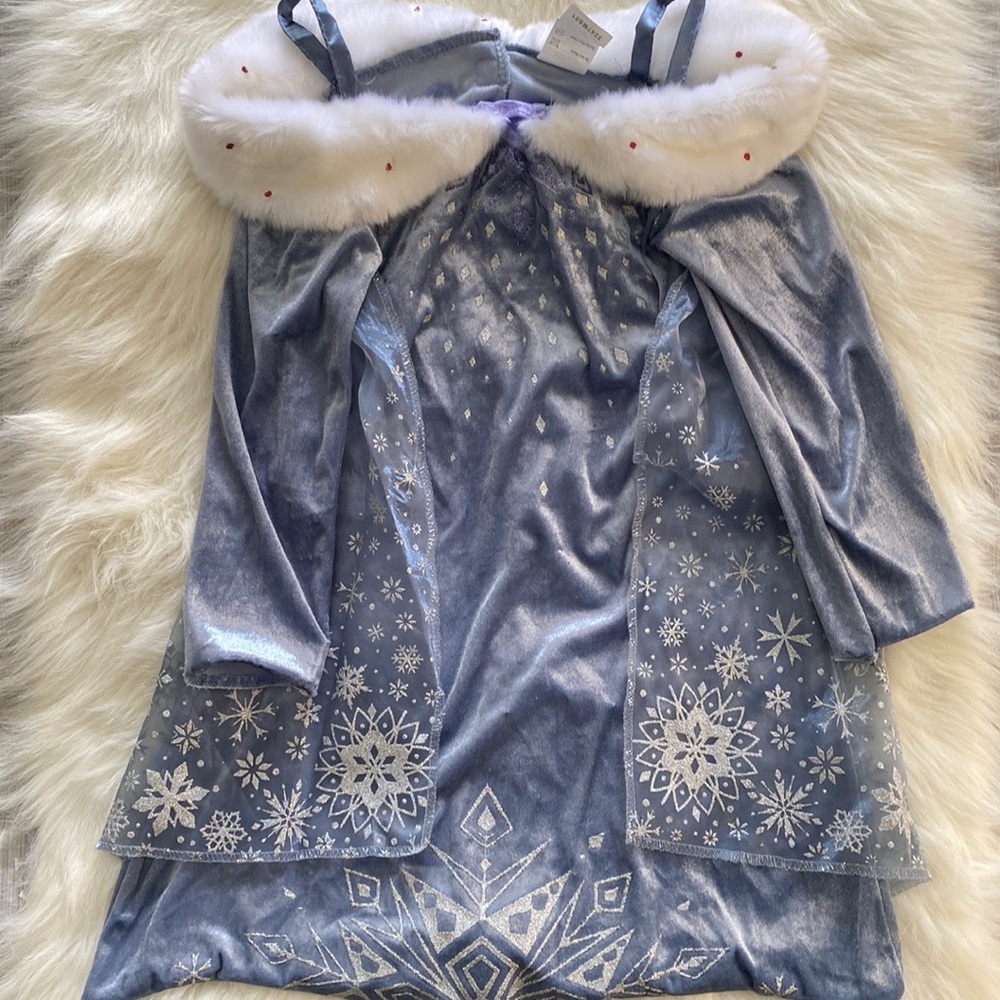 Frozen Adventure Winter Snow / Ice Princess Costume